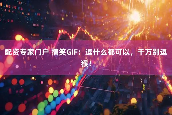 配资专家门户 搞笑GIF：逗什么都可以，千万别逗猴！